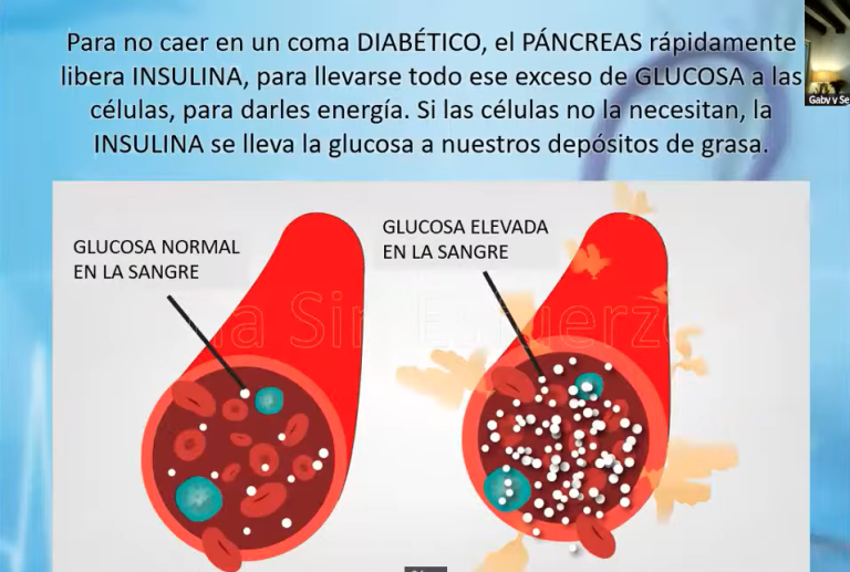 resistencia a la insulina2